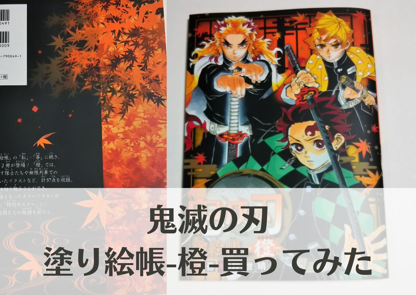 鬼滅の刃の塗り絵『鬼滅の刃 塗絵帳 -橙-』買ってみた！煉獄杏寿郎ファンは蒼＆橙マストバイです